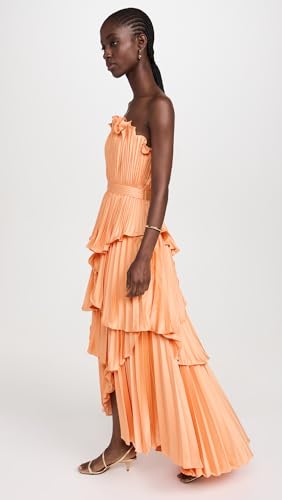 AMUR Women's Janey Tiered Shell Midi Dress