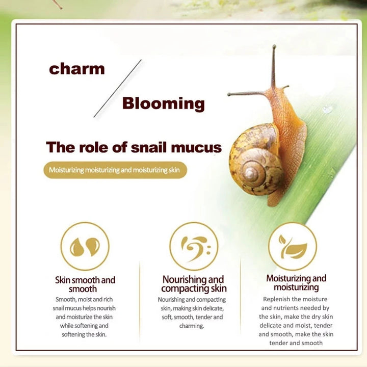 Snail Collagen Cream Set - Anti-Aging & Eye Care Combo